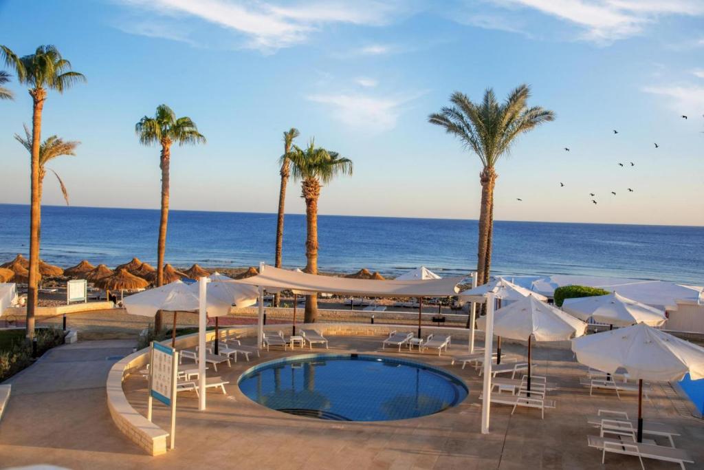 الفندق صن رايز رمال بيتش - شرم الشيخ